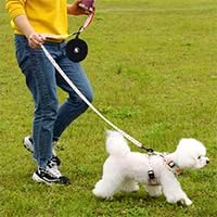 COOWONE Small Dog Treat Pouch, Dog Training Treats Bag, Portable Pet Snack Baits Storage Pouches, Waterproof and Durable Puppy Food Bag, Pocket Si...