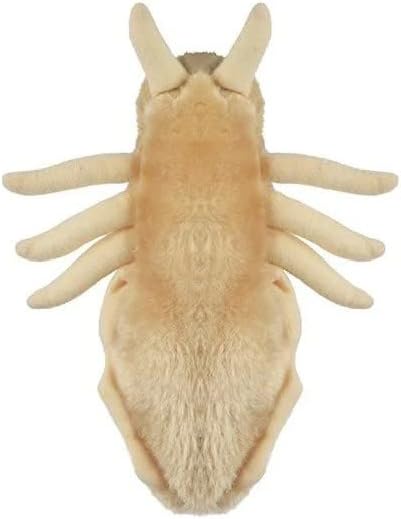 Giant Microbes Louse Plush – Learn About Lice and How to Treat Them, Fun Educational Gift for Family, Friends Doctors, Nurses, Scientists, Insect ...