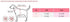 Puppia Authentic Junior Lead, Medium, Pink...