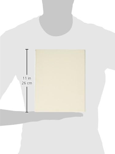 Winsor & Newton Professional Cotton Canvas, 8" x 10"...