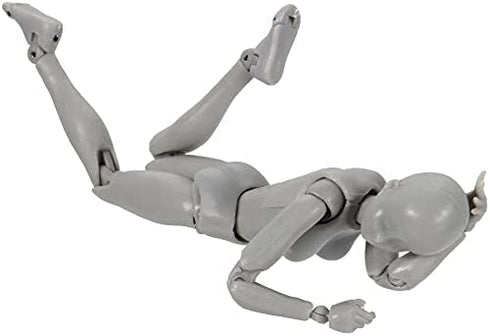 Action Figure Drawing Models, Human Mannequin Body Kun Doll Body-Chan Male/Female Action Figure DX Set, Suitable for Sketching, Painting, Drawing ...
