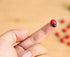 100 pcs Wooden Ladybug Garden Stones - Decorative Outdoor Ornaments - Garden Decoration for Vegatable and Flower Beds...