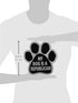 Imagine This Paw Car Magnet, My Dog is a Republican, 5-1/2-Inch by 5-1/2-Inch...