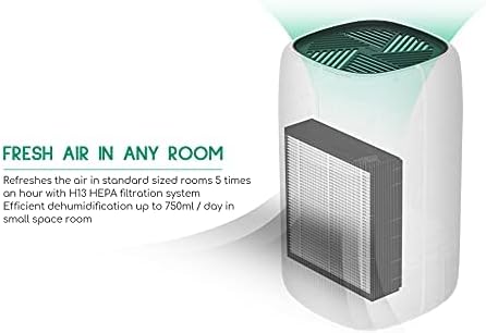 Afloia Efficient Filter for Q10 Air Purifier and Dehumidifier 2-in-1 (Air Purifier Q10 Filter Replacement)...
