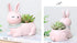 Pink Rabbit Succulent Planter Pots for Office House Balcony Landscape Creative Decorative Flower Pots (1, Pink Rabbit)...
