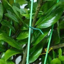 Rocky Mountain Goods Twist Ties for Plants with Cutter - Green Garden Twist Ties for Outdoor/Indoor Plants, Climbing Plants - 100 Feet Cut to Cust...
