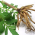 Valerian Root Capsules Organic 500mg Herb Extract Supplement 100 Pills...
