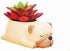 Cute Pug Planter Pots for Office,Window,Kitchen and Balcony...