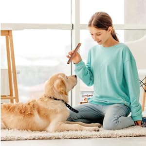 Jack&Pup 6" Beef Collagen Sticks for Dogs | Rawhide Free Dog Chews Long Lasting | Single Ingredient Healthy Dog Treats for Medium Dogs | Bully Sti...