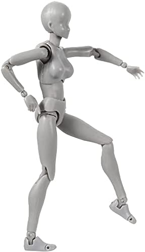 Action Figure Drawing Models, Human Mannequin Body Kun Doll Body-Chan Male/Female Action Figure DX Set, Suitable for Sketching, Painting, Drawing ...
