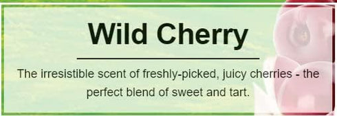 LITTLE TREES Car Air Freshener | Hanging Paper Tree for Home or Car | Wild Cherry | Pack of 6...
