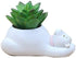 Cute Resin Polar Bear Meaty Pot by SWONVI, Succulent Pots with Drainage Resin Mini Flower Pot Garden Plants Vase Desk Flower Decoration 4.92" W X ...