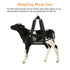 Calf Weighing Sling Goat Sling, Hanging Livestock Scale, Small Animal Sling Carrier, Calf Scale Hanging Weight with Adjustable Straps for Weighing...