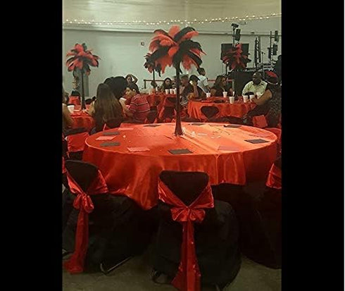 Sowder 10pcs Ostrich Feathers 12-14inch(30-35cm) for Home Wedding Decoration(red)...