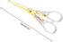 Gold Scissors 6.3 ", Craft Scissors with Stainless Steel Blade with Acrylic Clear Handle, All Purpose Office Scissors for Teachers, Cutting Shears...