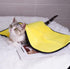 Pet Bath Brush and Towel for Dogs and Cats - Soft and Durable Bristles for Gentle Grooming (blue)...