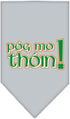 Pet and Dog Bandana Screen Printed, Pog Mo Thoin Yellow Large...