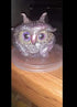 30pairs 12mm Owl Bird Human Pupil Eyes Glass Cabochon for Clay Dolls Making Sculptures Craft DIY Finding...