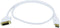 Monoprice 3ft 28AWG DisplayPort to DVI Cable - White...