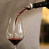 LEMONSODA Wine Aerator Pourer - Essential Wine Aerator Pourer Spout Clear...