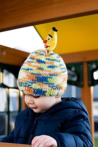 Lion Brand Yarn Sesame Street One Hat Wonder Yarn, Bert, 1 Cake...