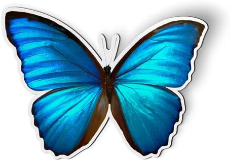 Blue Morpho Butterfly Beautiful - Magnet - Car Fridge Locker - 5.5"...