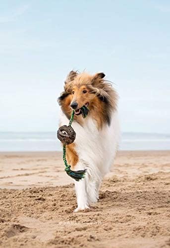 Pet Qwerks X-Tire Ball Dog Toys - Rope Interactive Chew Toy - Medium...
