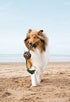 Pet Qwerks X-Tire Ball Dog Toys - Rope Interactive Chew Toy - Medium...