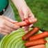 2PCS Spiral Hot Dog Slicers, Cyclone Barbecue Sausage Cutter Kitchen Tools Spiral Hot Dog Cutters Home DIY Sausage Slicer Gadget for BBQ Picnic Ca...