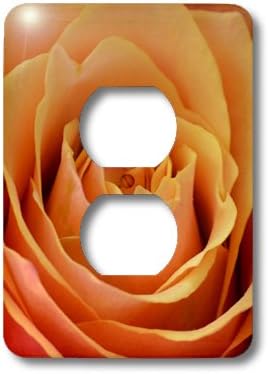 3dRose lsp_31363_6 Sweet Peach Rose Flower Photography Outlet Cover, Multi-Color...