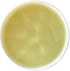 Alaska Devil's Club Lavender Salve - Handmade Skin Care Ointment with Lavender - Natural Muscle Rub with Premium, Responsibly Sourced Plant Materi...