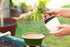 Glazed Ceramic Bonsai Pot - Decorative Planter for Dwarf Trees, Succulents, and Small Plants - Perfect for Indoor and Outdoor Gardens, Table Cente...