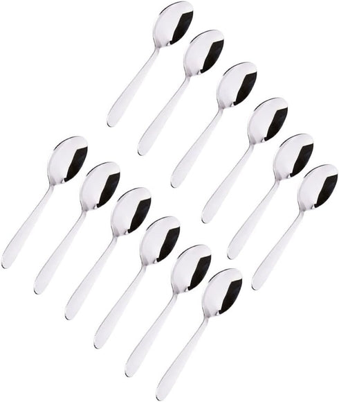 Stainless Steel Spice Box Spoons Set of 12 (Silver)...