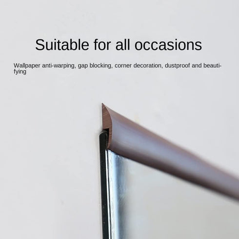 Floor Transition Strip Self Adhesive, PVC Carpet & Floor Edging Trim Strip Suitable for Carpet Threshold Transition Width 3mm Height Less Than 4 m...