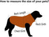 SILD Pet Clothes Dog Jeans Jacket Cool Blue Denim Coat Small Medium Dogs Lapel Vests Classic Hoodies Puppy Blue Vintage Washed Clothes (XS, Black)...