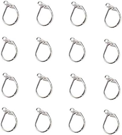 50PCS Silver 304 Stainless Steel Lever Back Earrings Earwire Findings for Earring Making,DIY Accessories,10x15mm...