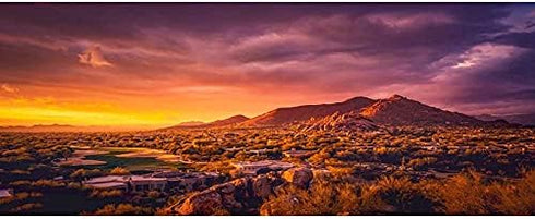 AWERT 36x18 inches Sun and Desert Terrarium Background Mountain Oasis Gobi Reptile Habitat Background Polyester Fish Tank Background...