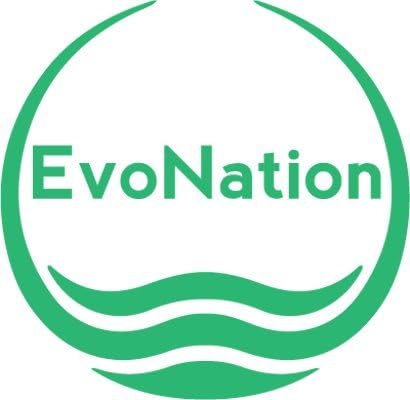 EvoNation Women’s Knee-High Graduated Compression Socks, 15-20 mmHg – Moderate Pressure Sheer Socks, Support Stockings Hose, Nude, Large...