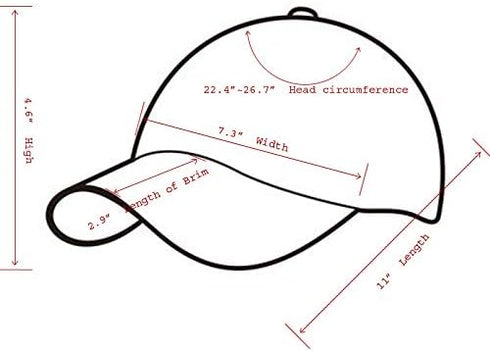 Bass Fish Hats for Men Women - Fly Fishing Gifts Dad Hat Baseball Caps...
