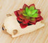 Cute Pug Planter Pots for Office,Window,Kitchen and Balcony...