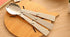 3Pcs Foldable Muti-function Stainless Steel Spork,Camping Traveller Sporks?Flatware Cutlery Spoon Fork with Carrying Case...