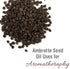 Crysalis Ambrette Seed (Abelmoschus moschatus) Oil - 0.51 Fl Oz (15ml)...
