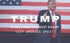 Make America Great Again Hat, 2024 Trump Cotton MAGA Baseball Cap Red...
