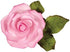PME JEM Easy Rose Fondant Cutters, Set of 3, Standard, White...