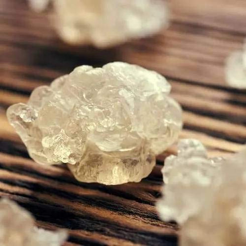 NESTLADY Natural Wild Tragacanth Gum “Snow Swallow” (Xueyan) ???? ?????? 110g / 3.88oz...