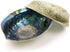 Ocean Shell Studios 6-6.5 inches Supreme Natural Abalone (P?ua) Two Shells for Smudging, Cleansing Home, Meditation, Shell Crafts,Incense Holder, ...