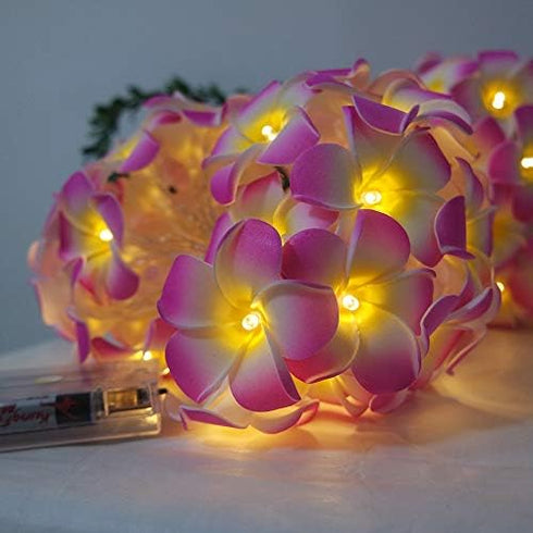 Lxcom Lighting Plumeria Flower String Lights 20LED String Light Hawaiian Foam Artificial Plumeria Flower Battery Powered Fairy Starry Lights for C...