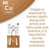 DrTung’s Tongue Cleaner, Copper Tongue Scraper, Tongue Cleaner for Adults, Kids, Easy to Use Comfort Grip Handle, 2 Pack...