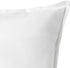 Universal Zone The Raven by Edgar Allan Poe Pillow Cover, Book Pillow Cover....
