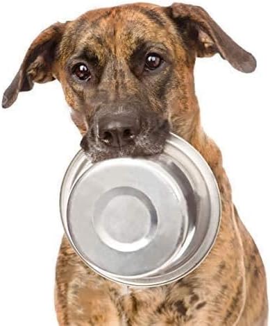 Standard Bowl for Dogs Cats, Stainless Steel, 3 Cups/24 Ounce...